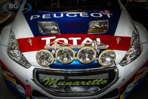 Goodwood Speedweek 06 Medium