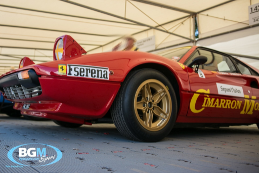 Goodwood 2019 31 Medium