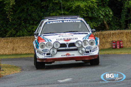 Goodwood 2019 60 Medium