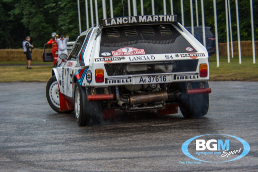 Goodwood 2019 61 Medium