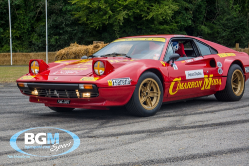 Goodwood 2019 69 Medium