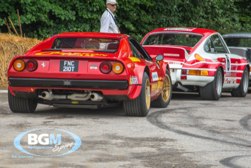 Goodwood 2019 70 Medium