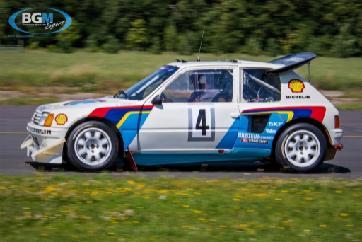 Ex Works Peugeot 205 T16 Gpb Rally 05 Medium