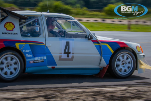 Ex Works Peugeot 205 T16 Gpb Rally 06 Medium