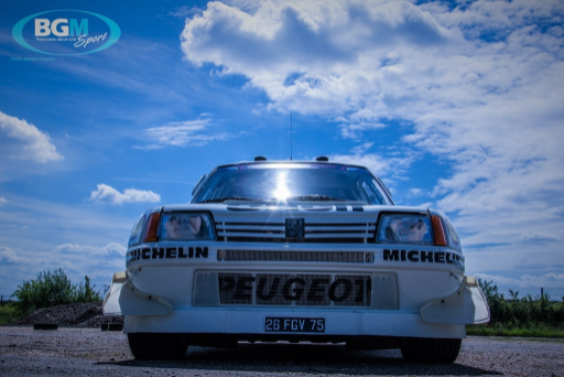 Ex Works Peugeot 205 T16 Gpb Rally 22 Medium