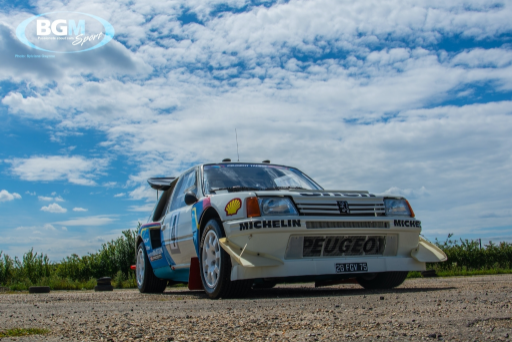 Ex Works Peugeot 205 T16 Gpb Rally 23 Medium