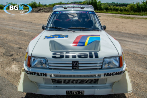 Ex Works Peugeot 205 T16 Gpb Rally 26 Medium