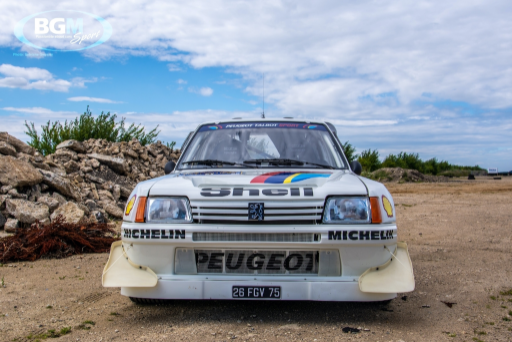 Ex Works Peugeot 205 T16 Gpb Rally 28 Medium