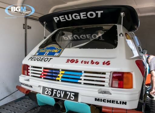 Ex Works Peugeot 205 T16 Gpb Rally 30 Medium