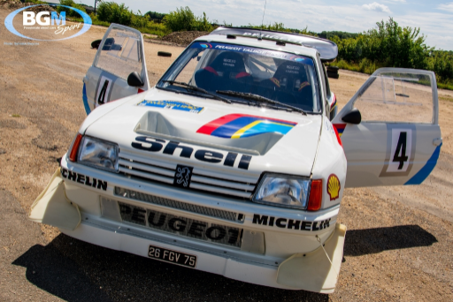 Ex Works Peugeot 205 T16 Gpb Rally 34 Medium