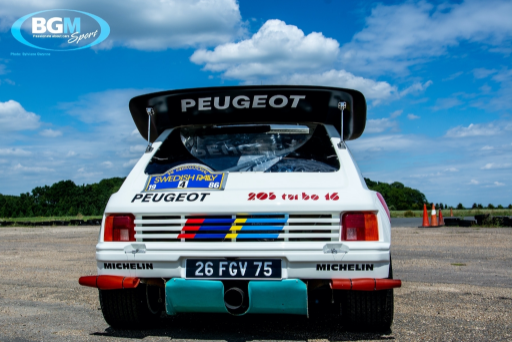 Ex Works Peugeot 205 T16 Gpb Rally 36 Medium