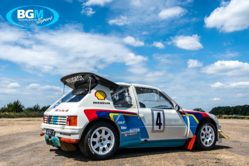 Ex Works Peugeot 205 T16 Gpb Rally 48 Medium