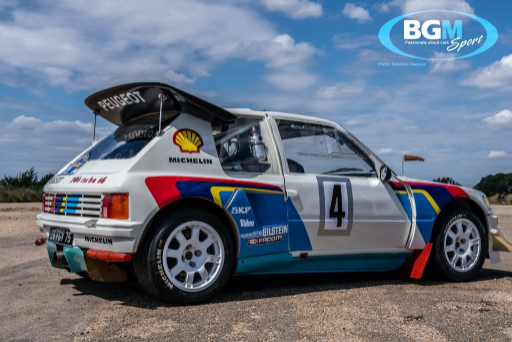Ex Works Peugeot 205 T16 Gpb Rally 49 Medium