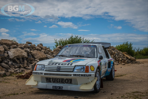 Ex Works Peugeot 205 T16 Gpb Rally 50 Medium