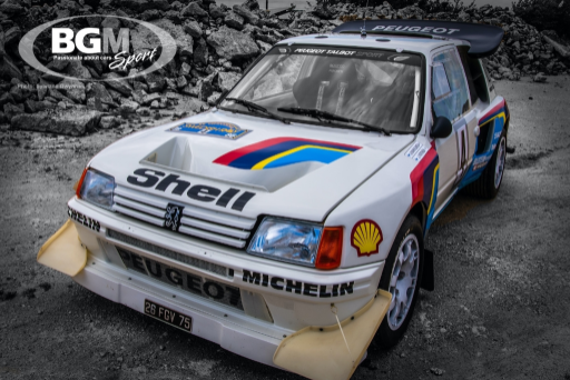 Ex Works Peugeot 205 T16 Gpb Rally 52 Medium
