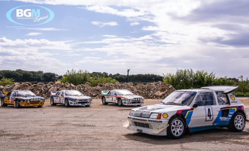 Ex Works Peugeot 205 T16 Gpb Rally 56 Medium