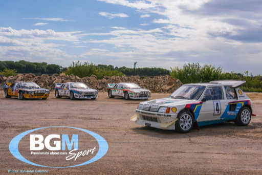 Ex Works Peugeot 205 T16 Gpb Rally 57 Medium