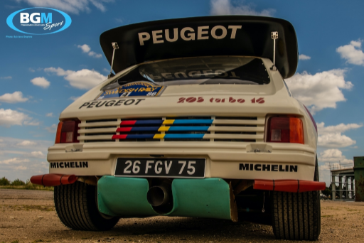 Ex Works Peugeot 205 T16 Gpb Rally 58 Medium