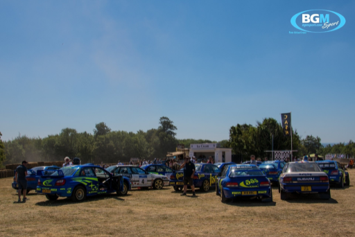 Goodwood Fos 2018 14 Medium