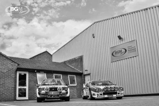 Henri Toivonen Cars 05 Medium