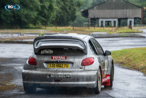 Richard Burns 2002 Peugeot 206 Wrc Car 01 Medium
