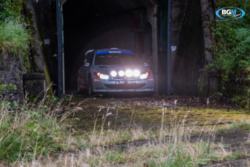 Richard Burns 2002 Peugeot 206 Wrc Car 05 Medium