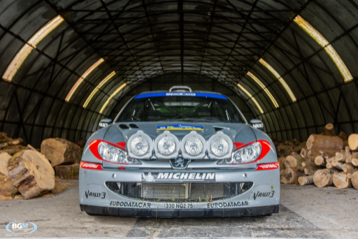 Richard Burns 2002 Peugeot 206 Wrc Car 10 Medium