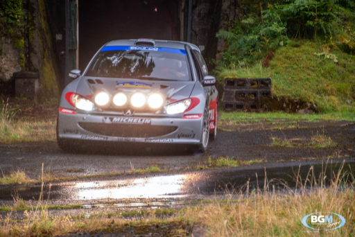 Richard Burns 2002 Peugeot 206 Wrc Car 11 Medium