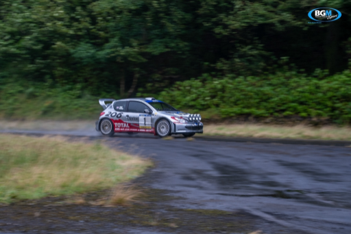 Richard Burns 2002 Peugeot 206 Wrc Car 12 Medium