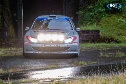 Richard Burns 2002 Peugeot 206 Wrc Car 14 Medium