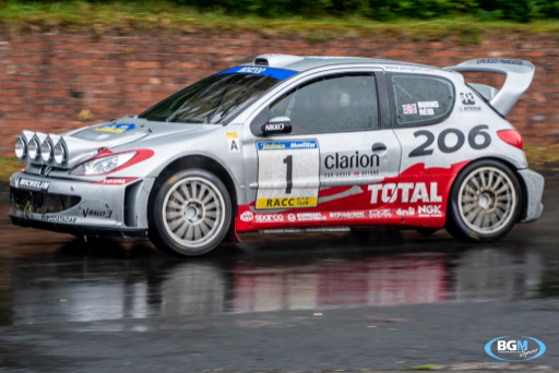Richard Burns 2002 Peugeot 206 Wrc Car 16 Medium