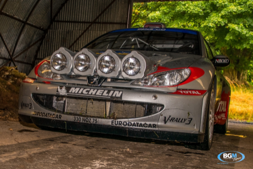Richard Burns 2002 Peugeot 206 Wrc Car 17 Medium