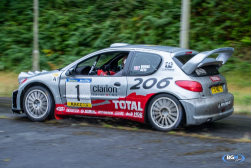 Richard Burns 2002 Peugeot 206 Wrc Car 18 Medium