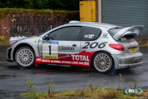 Richard Burns 2002 Peugeot 206 Wrc Car 19 Medium