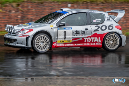 Richard Burns 2002 Peugeot 206 Wrc Car 20 Medium