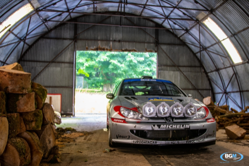 Richard Burns 2002 Peugeot 206 Wrc Car 21 Medium
