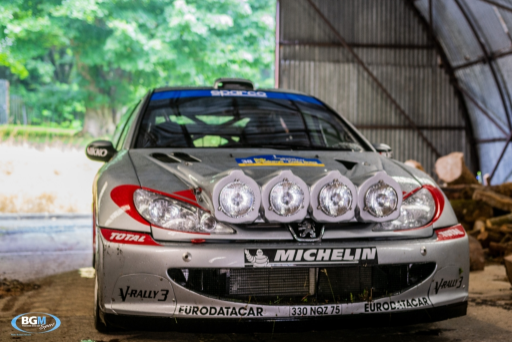 Richard Burns 2002 Peugeot 206 Wrc Car 22 Medium