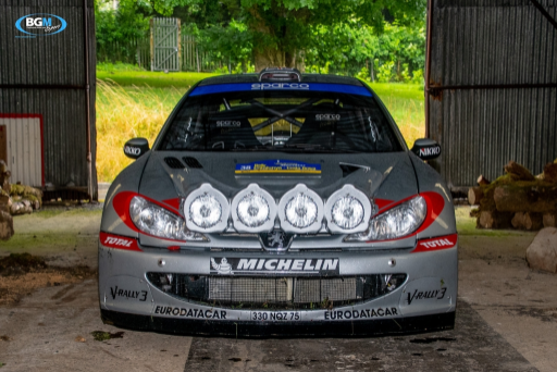 Richard Burns 2002 Peugeot 206 Wrc Car 23 Medium