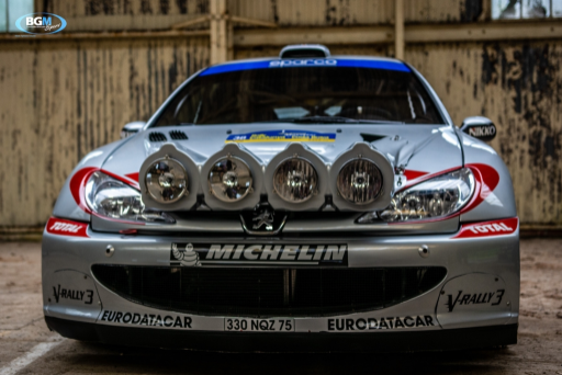 Richard Burns 2002 Peugeot 206 Wrc Car 24 Medium