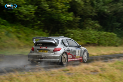 Richard Burns 2002 Peugeot 206 Wrc Car 25 Medium
