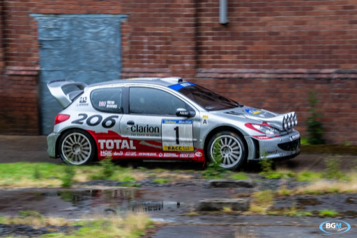 Richard Burns 2002 Peugeot 206 Wrc Car 26 Medium
