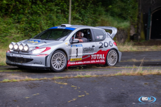 Richard Burns 2002 Peugeot 206 Wrc Car 27 Medium