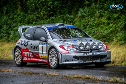 Richard Burns 2002 Peugeot 206 Wrc Car 28 Medium