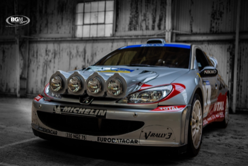 Richard Burns 2002 Peugeot 206 Wrc Car 29 Medium