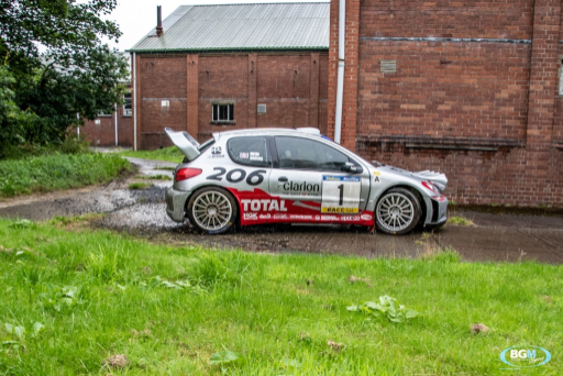 Richard Burns 2002 Peugeot 206 Wrc Car 32 Medium