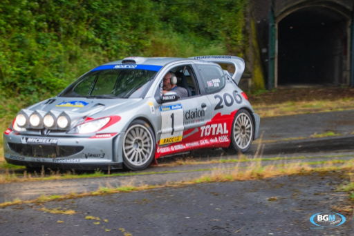 Richard Burns 2002 Peugeot 206 Wrc Car 34 Medium