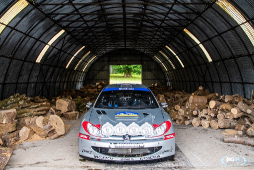 Richard Burns 2002 Peugeot 206 Wrc Car 35 Medium