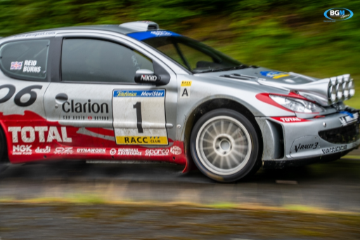 Richard Burns 2002 Peugeot 206 Wrc Car 36 Medium