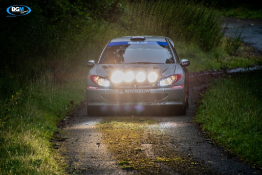 Richard Burns 2002 Peugeot 206 Wrc Car 43 Medium