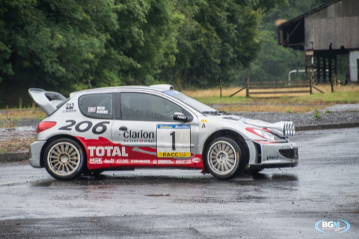 Richard Burns 2002 Peugeot 206 Wrc Car 46 Medium